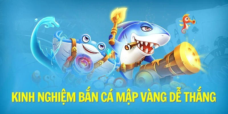 kinh-nghiem-ban-ca-map-vang-cho-tan-thu-de-thang